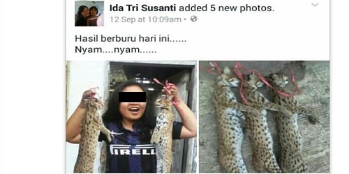 Pamer Hasil Buruan Kucing Hutan, Mahasiswi Diciduk Polisi