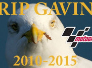 Gavin, Si Burung Camar Korban MotoGP Australia
