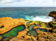 Wisata Kolam Karang Alami Pantai Kedung Tumpang Tulungagung