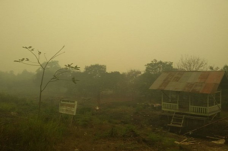 Kebakaran Hutan Kalimantan Barat Meningkat