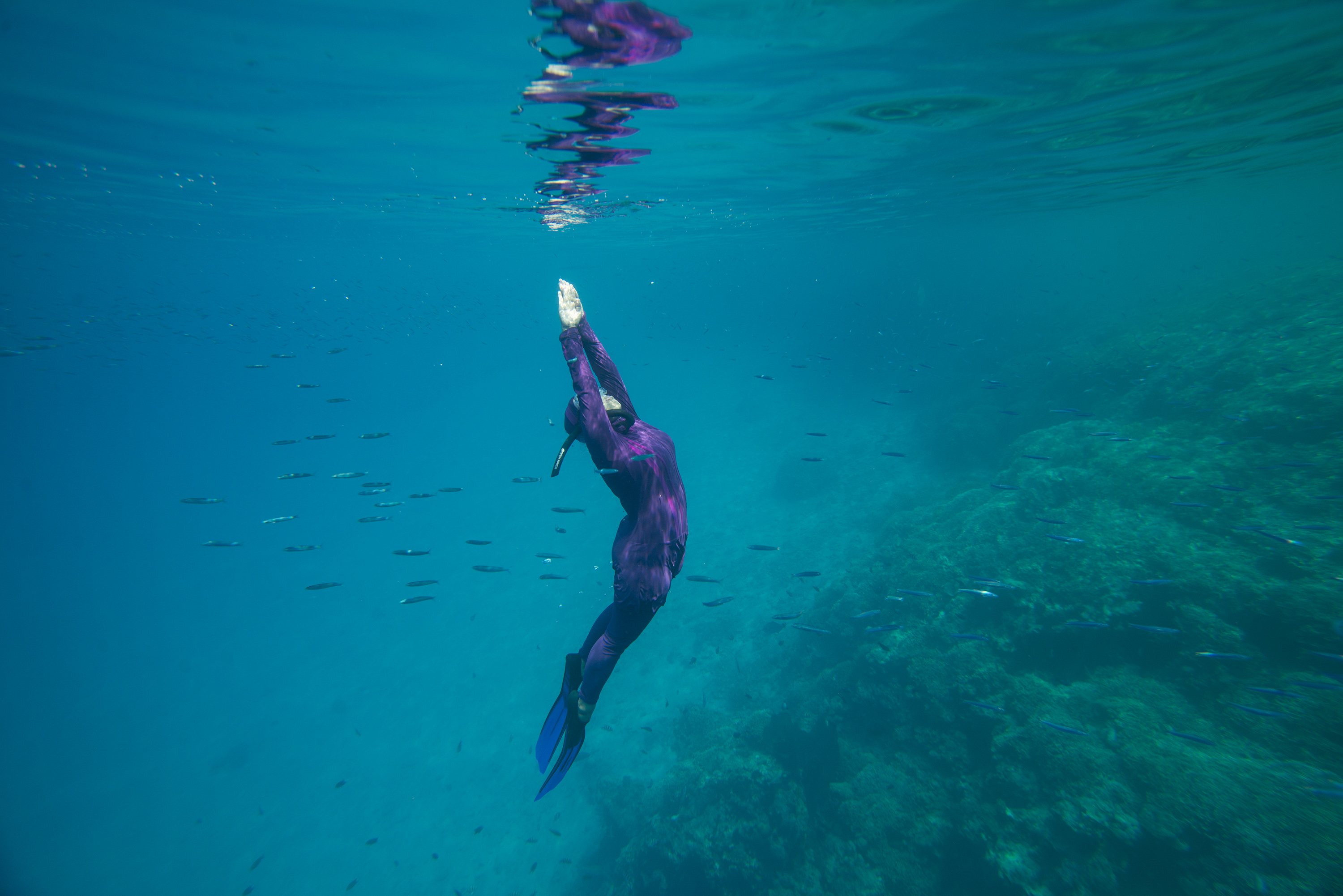 Wisata Laut Pulau Menjangan di Taman Nasional Bali Barat