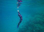 Wisata Laut Pulau Menjangan di Taman Nasional Bali Barat