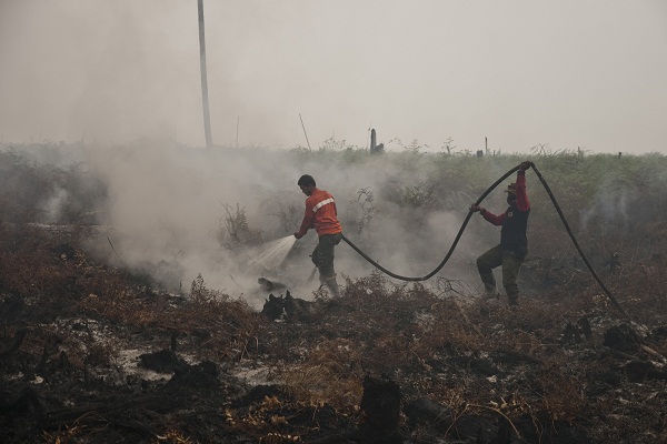 Atasi Kabut Asap, Pemerintah Terbitkan Perppu