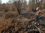 Ahli Gambut Beri Masukan kepada Jokowi