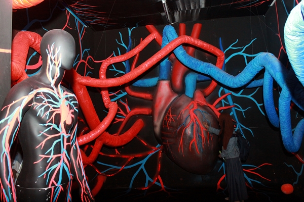 Serunya Bertualang dalam Tubuh Manusia di Adventure of Human Body Bekasi