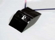 Tiongkok Buat Kertas yang Bisa Hidup