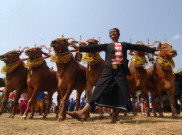 Aneka Tradisi Madura