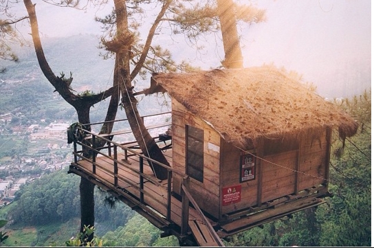 Omah Kayu, Destinasi Rumah Pohon Unik di Malang