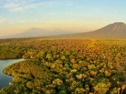 Taman Nasional Baluran, Eksotisme Afrika di Jawa Timur