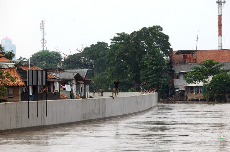 Walhi Jakarta: Pemerintah Hanya Fokus Tangani Ciliwung