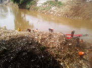 Tumpukan Sampah di Jembatan Kalibata Sudah Berkurang