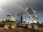 Ini Dia Pembunuh Brutal Pohon