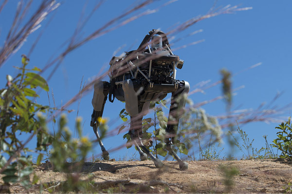 Marinir AS Mulai Latih Robot Anjing Google
