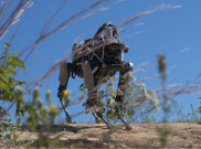 Marinir AS Mulai Latih Robot Anjing Google