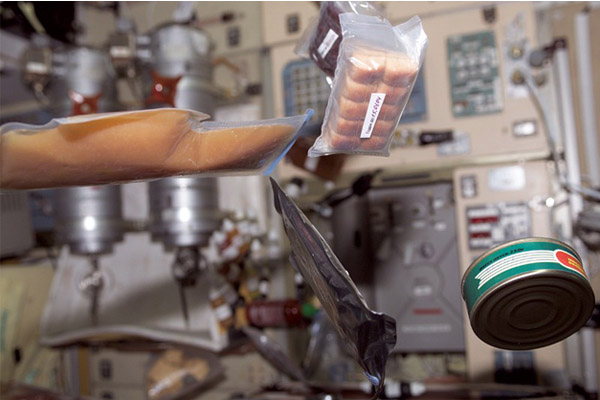 NASA Bawa Bakteri ke Luar Angkasa