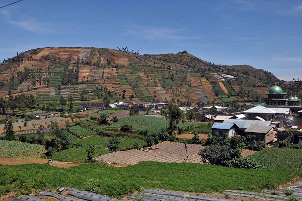 Kisruh Data Pangan, Pakar Pertanian Desak BPS Rekrut SDM Baru