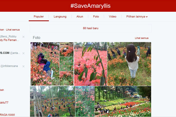Bunga Amarilis Yogyakarta Dirusak Remaja Kekinian