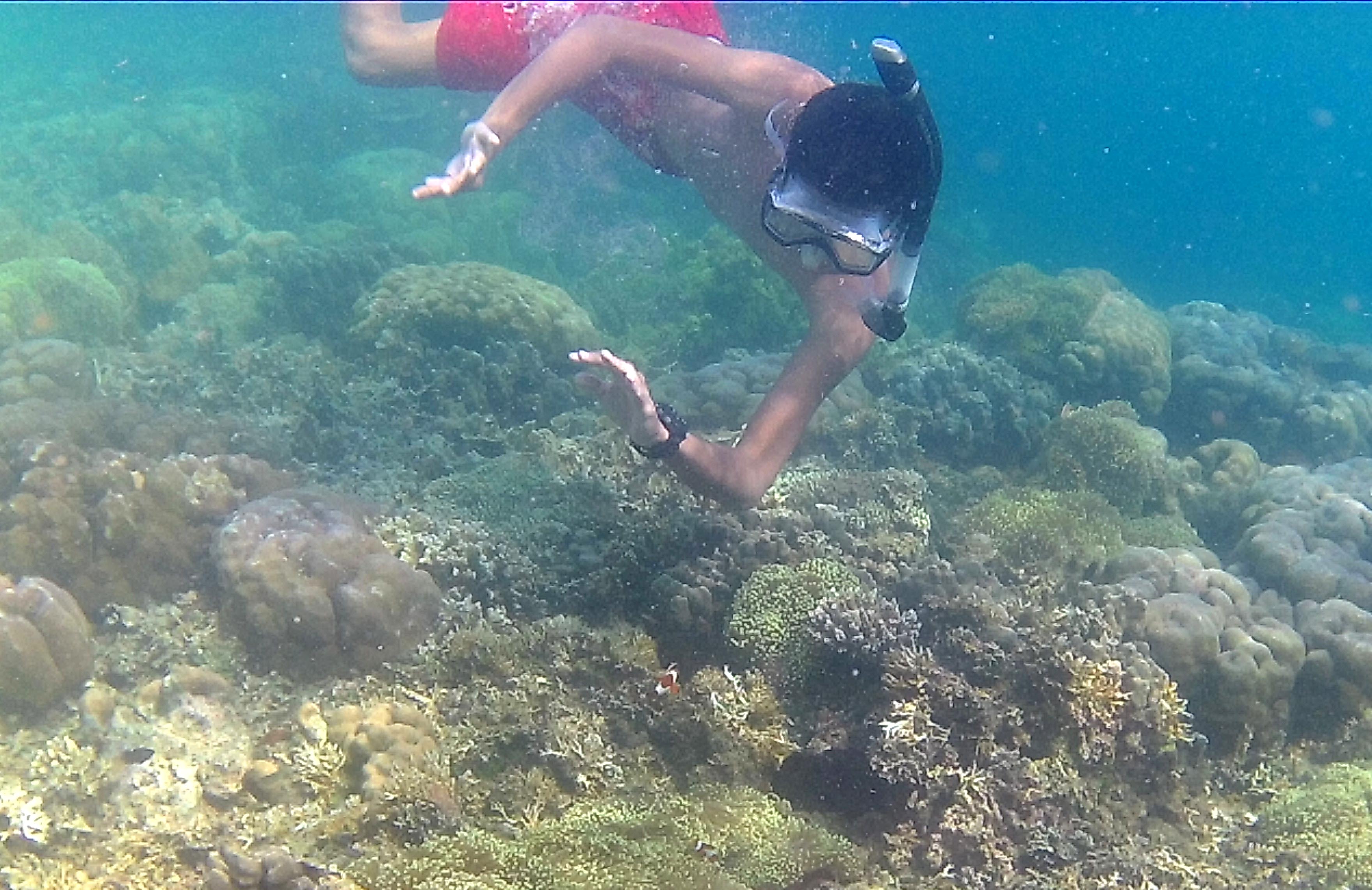 Eksotisme Pantai Bama di Taman Nasional Baluran