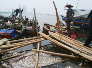 Selain Jutaan Ikan Teluk Jakarta, Kerang Pun Mati Terpapar Limbah