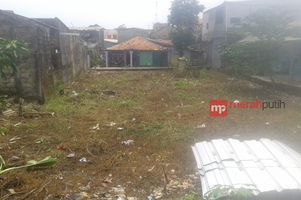 Wabah Ulat Bulu Serang Depok, Warga Terpaksa Mengungsi