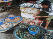 Meski Banting Harga, Kerang dan Rajungan Tetap Tidak Laku