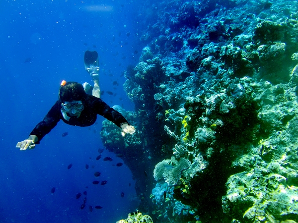 Sejuta Pesona Keindahan Wisata Taman Laut Bunaken