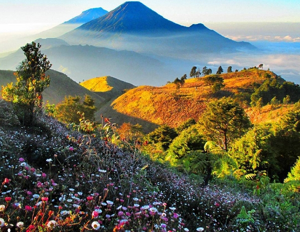 Gunung Prau Dieng, Pemandangan Indah di Atas Awan