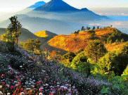 Gunung Prau Dieng, Pemandangan Indah di Atas Awan