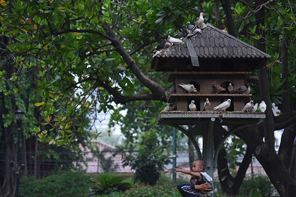 Empat Kategori Dilombakan pada Kicau Burung Jakarta Cup II