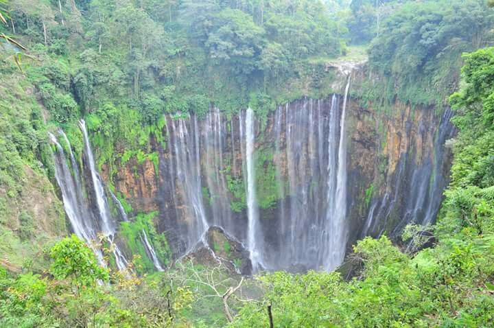 Air Terjun Tumpak Sewu, Niagaranya Lumajang