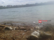 Danau Perumahan Citra Garden City Masih Bau Bangkai Ikan