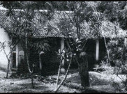 Kuncen Makam Pangeran Wijayakusuma Minta Bantuan Ahok