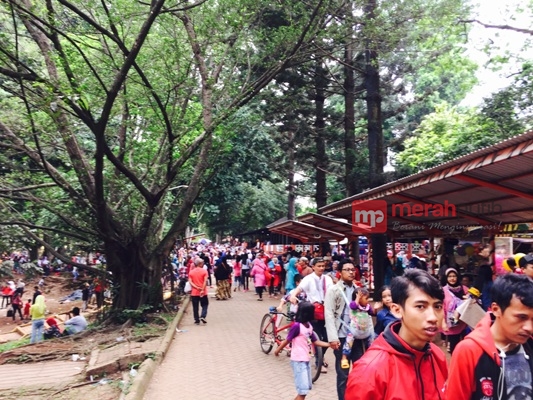 Libur Panjang, Kebun Binatang Ragunan Membeludak