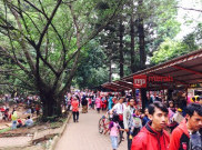 Libur Panjang, Kebun Binatang Ragunan Membeludak