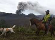 Aktivitas Gunung Bromo