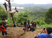 Nikmati Indahnya Wisata Alam Kalibiru di Yogyakarta