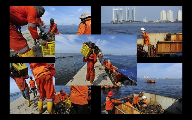 50 Ton Sampah per Hari Diangkut dari Teluk Jakarta