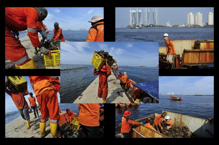 50 Ton Sampah per Hari Diangkut dari Teluk Jakarta