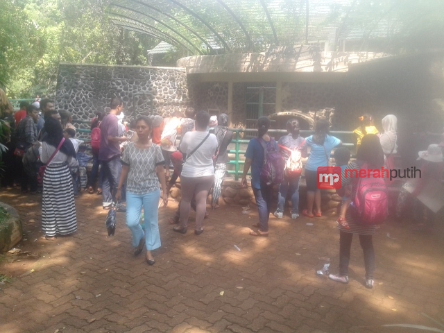 Libur Lebaran, Para Pedagang di Kebun Binatang Ragunan Panen Rezeki
