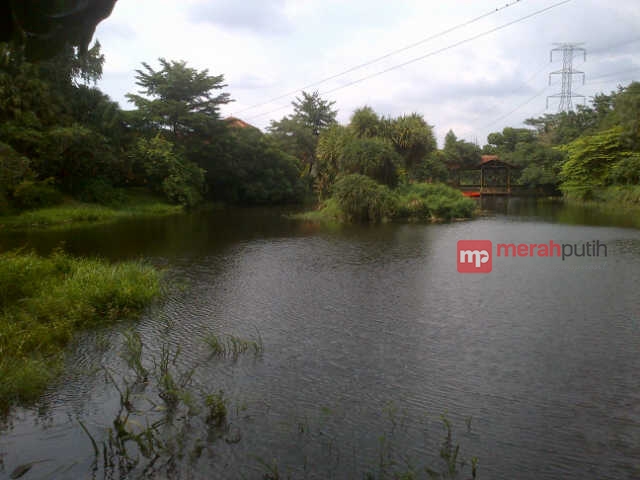 Melihat Elang Bondol dan Pohon Tempat Bertapa Siddharta Gautama di Tanah Tingal 