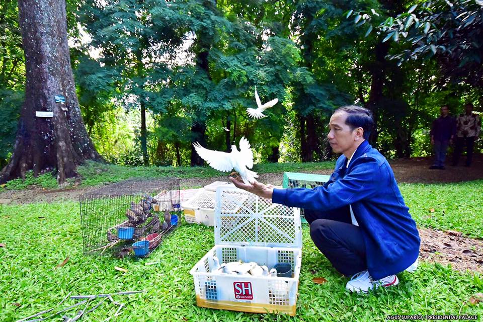 Borong Ratusan Burung di Pasar Pramuka, Jokowi Melepasnya di Bogor