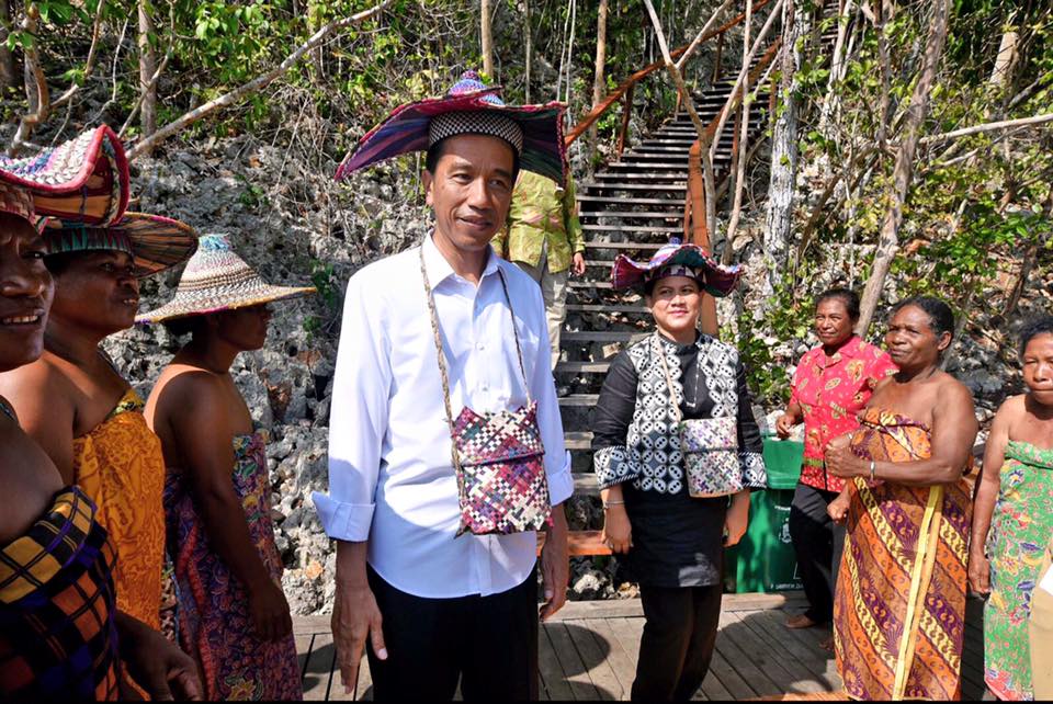 Tarik Wisatawan, Jokowi Minta Taman Laut Dijaga