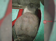Misteri Suara Harimau dan Kakek Berjenggot di Situs Batu Tulis Bogor