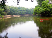 Nikmati Sejuknya Hutan Kota Srengseng