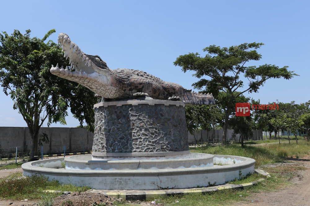 Wisata Hemat di Banten, Taman Buaya Tanjung Pasir Jadi Favorit