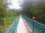 Pantura Tangerang Ditanami 150 Ribu Mangrove