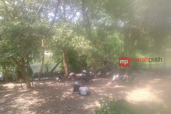 Kawasan Ekowisata Mangrove Jadi Tempat Pacaran