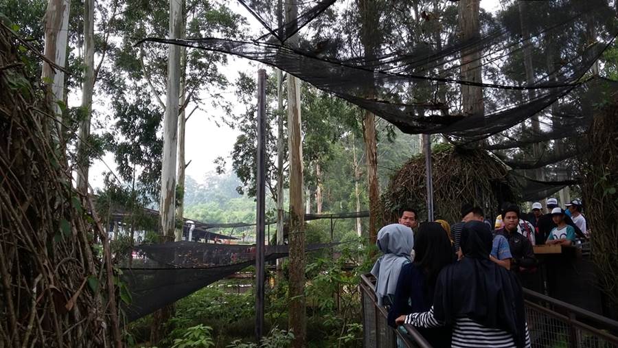 Dusun Bambu Masih Menjadi Favorit Wisata di Bandung 