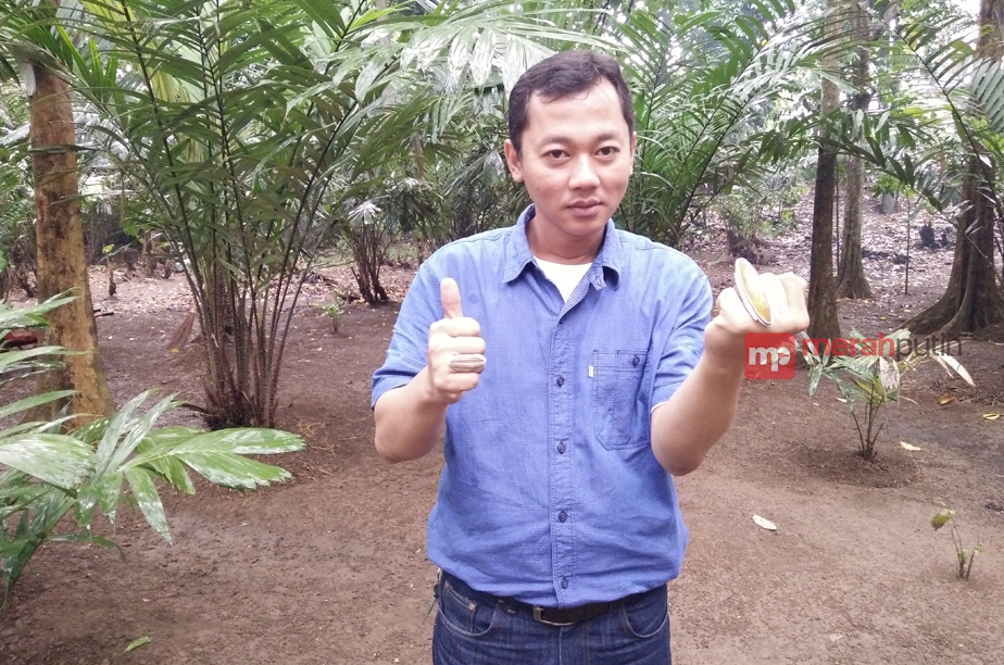 Hampir Punah, Salak Condet Terus Dilestarikan