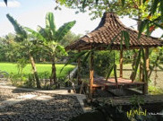 5 Desa Wisata Primadona di Yogyakarta